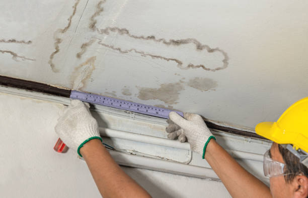 Reliable Burst Pipe Cleanup contractor in DeWitt, MI by Local Water Damage Repair
